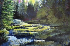 Algonquin Morning Milon Creek East Gate
