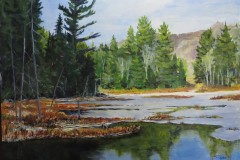 Algonquin November Wetland