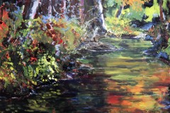 Creek Reflections
