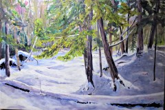 Creek in Winter