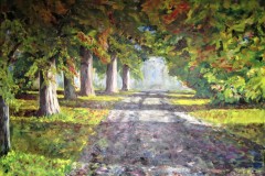 Early Autumn Light