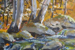 Fallingbrook in Spring