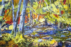 Fallingbrook Afternoon