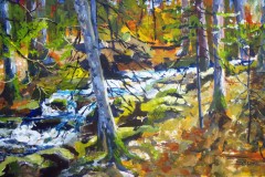 Fallingbrook Spring Run study