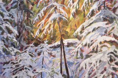 Fresh Snow
