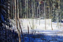 Highway 132 Marsh Sunlight