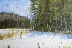 Highway 17 Marsh 2