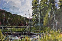 Marsh Highway 17