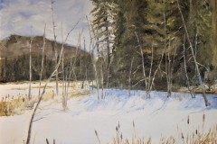 Marsh off Highway 17 in Winter 2