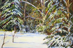 Morning Sun on Fresh Snow