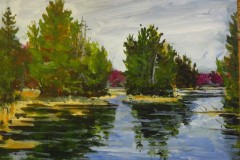 Reid's Lake Study