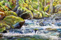 Rocks and Rapids