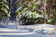 Shadows on Frozen Pond