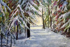 Snowy Lane