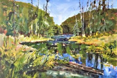 South Portage Lake Haliburton-July-12-2018
