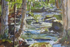 Spring Creek
