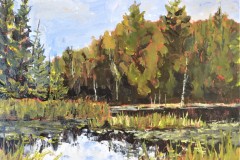 Summer Marsh Highway 17 outside Renfrew