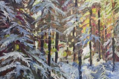 Winter Sunlight