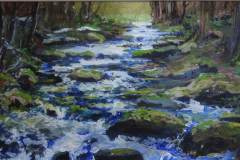 Fallingbrook After the Rain