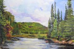 Costello Creek Algonquin Park
