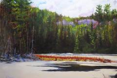 First Ice Up Algonquin Park
