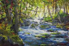 Fallingbrook Sunlight on Creek