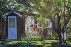 Morning Sunlight Under the Apple Tree