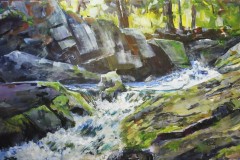 Campbells Gorge Falls Summer Light