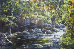 Sunlight on Falling Waters