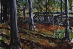Forest Edge