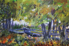 Cedar Rail Fence Whelan Road
