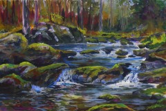 fallingbrook Summer