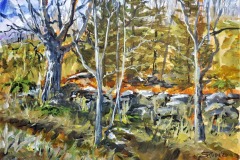 Ironwoods in Sunlight