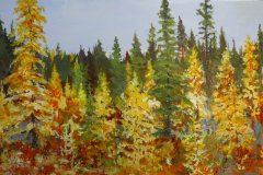 Larch Grove
