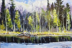 Beaver Pond in November