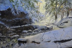 Campbells Gorge Fall Below the Dam