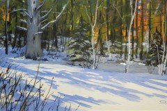 Snow Shadows
