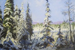 Sunlight After the Snowfall