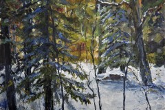 Winter Forest Scene