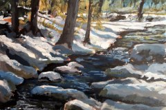 Fallingbrook Sun