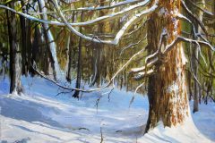 The Big Cedar