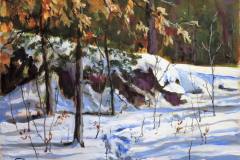 Snow Trails 1