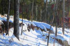 Snow Tails 3