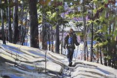 Walk in the Woods