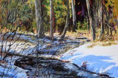Spring Sun on Creek