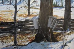Roadside Maple and Buckets