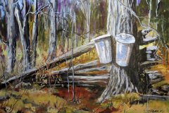 Sun on Sap Buckets