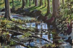 Forest Reflections