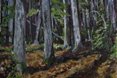Into the Hemlocks