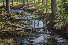 Forest Reflections